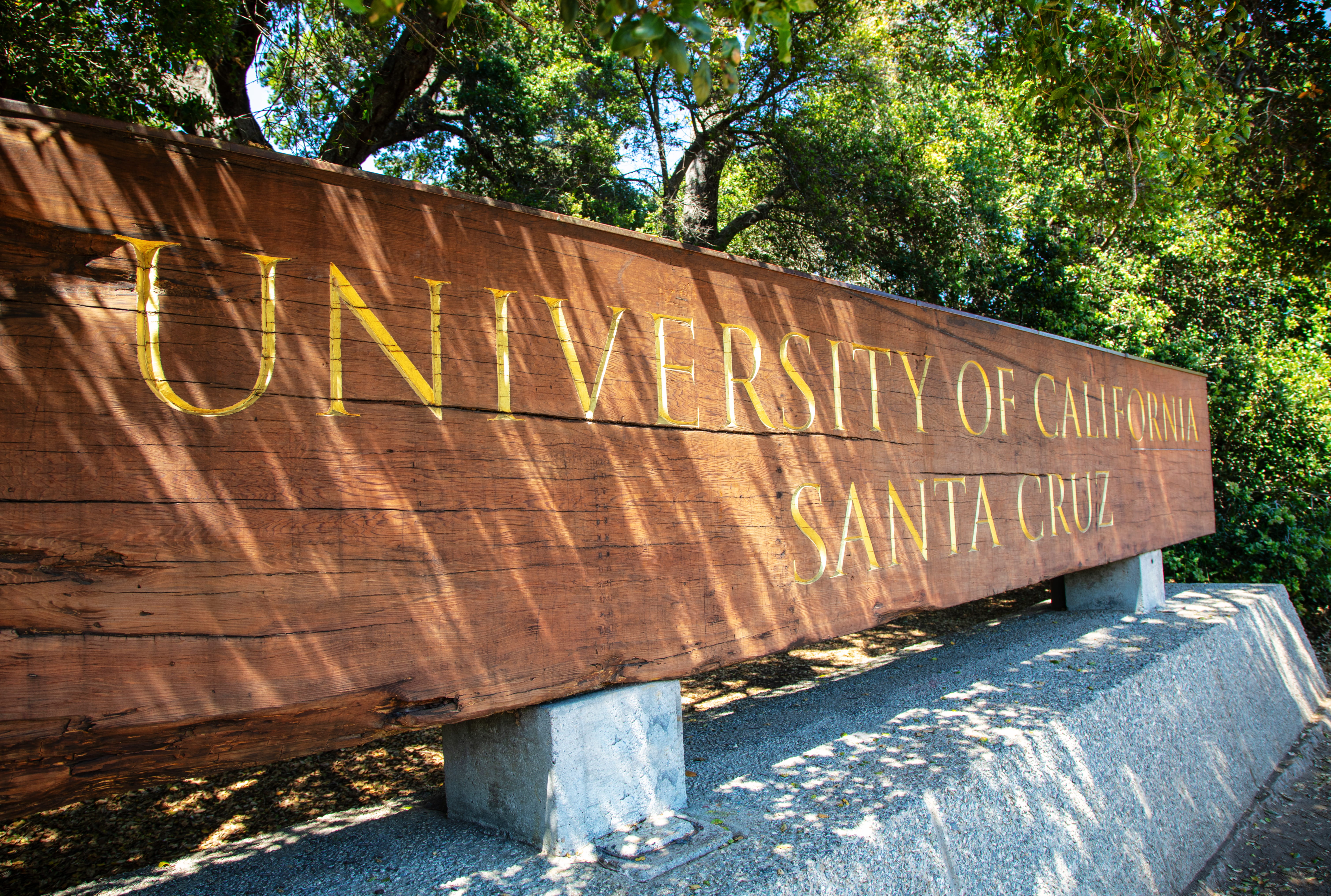 Skewed view of the UC Santa Cruz redwood entryway sign.